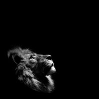 بـدر القحطاني (@bdrq_95) Twitter profile photo