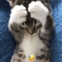 :0 (@sephirosms) 's Twitter Profile