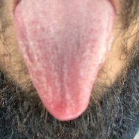 Mike (@big_704_mike) 's Twitter Profile