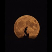 M.Metin TAŞ (@mmetintass) 's Twitter Profile Photo M.Metin TAŞ (@mmetintass) 's Twitter Profile Photo