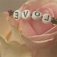 みつこ (@mitsuko1755434) 's Twitter Profile