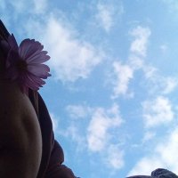 اميرة باباها (@uar89134) 's Twitter Profile