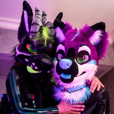 Varah Fox 🔜 Megaplexさんのプロフィール画像
