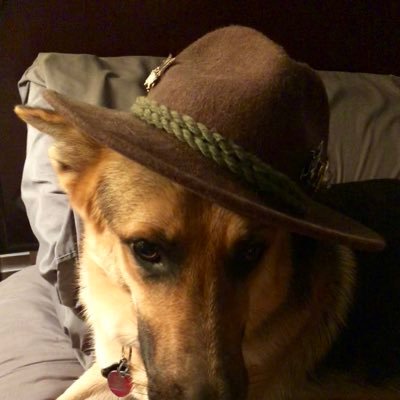 MikeKeys12119's profile picture. no DM, no porn, No crap. MAGA all the way.