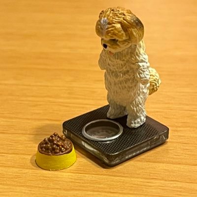 acquamossaさんのプロフィール画像