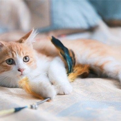 副業で収入を増やすコツを共有中。副業初心者に有益な情報をお届け。少額ですが現金配布企画もしています♫ 詳しくはこちらから→https://t.co/PS4wwahKLx