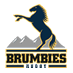 ACT Brumbies (@s14_brumbies) Twitter profile photo ACT Brumbies (@s14_brumbies) Twitter profile photo