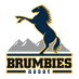 ACT Brumbies (@s14_brumbies) Twitter profile photo