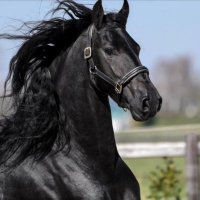 Moral and True (@moral_and_true) 's Twitter Profile Photo Moral and True (@moral_and_true) 's Twitter Profile Photo