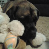 Michelle (@michell98425515) 's Twitter Profile