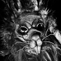 Erik Rowan(Ramblin Rabbit) PARODY ACCOUNT (@ramblinrabbiter) 's Twitter Profile