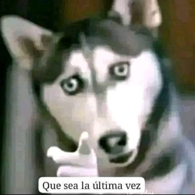 cero10001's profile picture. Hola como estan quieres ser MY amigo