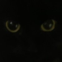 k π§ββοΈ (@turniplvr) 's Twitter Profile Photo k π§ββοΈ (@turniplvr) 's Twitter Profile Photo