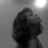 NOQUEPASO's profile image