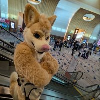 👑King of Yap👑 🔜 FWA, Megaplex (@huskybrenad) 's Twitter Profile
