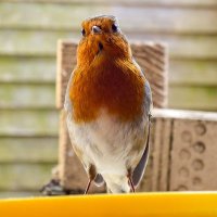 Jenn Metcalf 💙 (@jennife14435458) 's Twitter Profile Photo Jenn Metcalf 💙 (@jennife14435458) 's Twitter Profile Photo