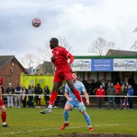 Moses Yoak (@mosesyoak10) 's Twitter Profile