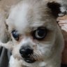Eduardo61828802's profile picture. 