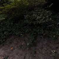 Scott (@minusoneloop) 's Twitter Profile