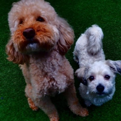 stagewrite19's profile picture. 