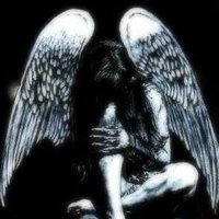 ۟ (@tornintoshreds) 's Twitter Profile