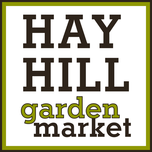 HayHillSC's profile picture. We're a artisan home & garden center with perennial plants by @jenkadenk.  1625 Bluff Rd, Columbia, SC #TakeItOutside!