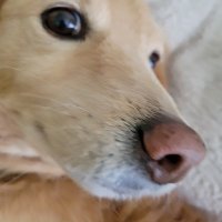 Jon Orange (@jonorange7734) 's Twitter Profile
