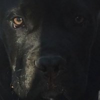 Robert Klassen (@kilromikrobert) 's Twitter Profile