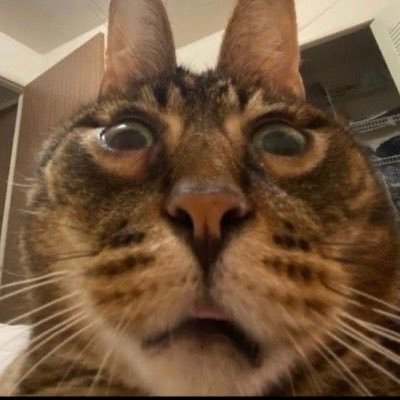 sydney28436984's profile picture. 