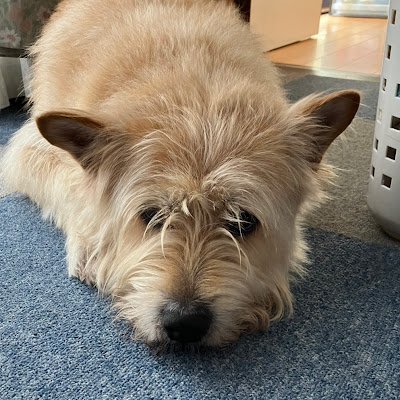 yuku0422's profile picture. 