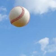 野球バカの独り言 (@lvbb55) 's Twitter Profile