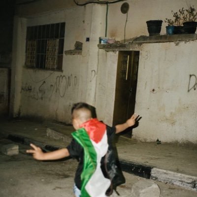 fikrimutalIIb's profile picture. 