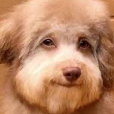 NegativeWatts's profile picture. #LetEmKnow - #DawgPound - 🇺🇸