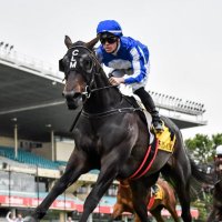 Will Price (@willprice50) 's Twitter Profile