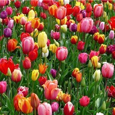 Ayahi762301's profile picture. 実業家/個人投資家。事業失敗から、再チャレンジし複数社経営。最近はおトク情報を教えたり、自分がお金に苦労したのでお金に苦しんでいる人を救いたいと思い、多少ですが現金プレゼント企画をしております！ なくなり次第終了➡https://t.co/xFfiuruYTK