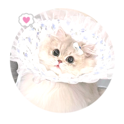 ୧ ׄׄ ♡ ׅ ࣪ ˓˓ ~ 𝒌𝒊𝒕𝒕𝒚—𝒎𝒂𝒊𝒍’𝒔. *miaw* cats running
around in the royal gardens of 𝐩𝐫𝐞𝐦 𝐚𝐩𝐩𝐬 ; 𝐎𝐏𝐄𝐍. 𖥔ׁ