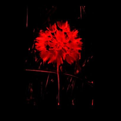 KAYHEY19's profile picture. 