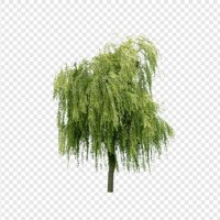 세인 (@muwajjop) 's Twitter Profile Photo