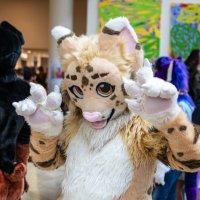 Jay Ferrous ❤️ (@jayferrous) 's Twitter Profile