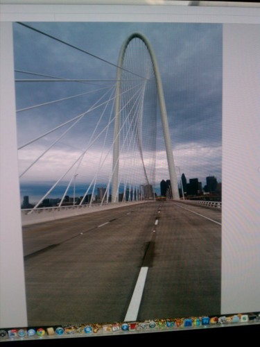 galindophotos's profile picture. 