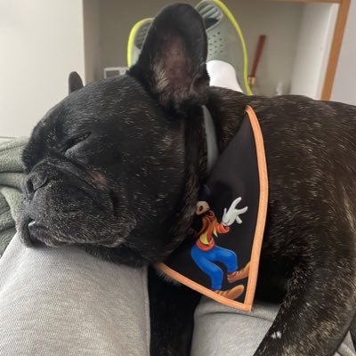 fabiotakaki's profile picture. Free time is the enemy of progress.