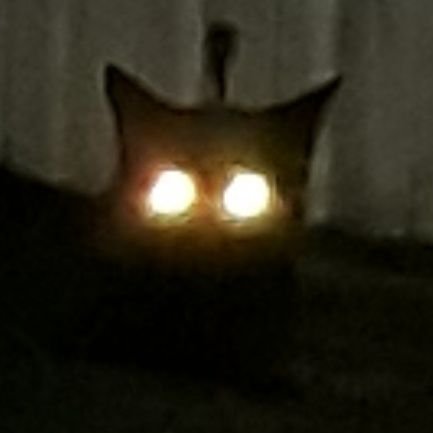 JkgKleber's profile picture. Respeitar a decisao e opiniao alheia faz parte das bases da democracia. Todos tem direito de discordar.