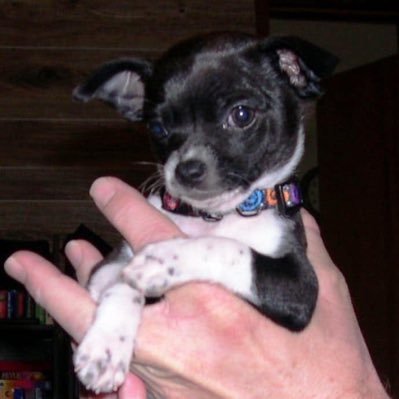 securitydog56's profile picture. Author: WeAreTheTarget,  CycleForTravelSafety,  Writer, SecurityOps, ContingencyPlanner, Woodworker, Veteran, #WeThePeople

 https://t.co/r82LwIFQnH