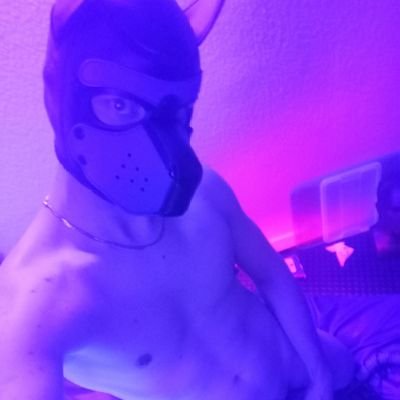 @NEO_ANTARES
