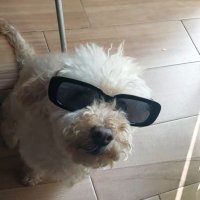 sof.sof🦋 (@sof_briones) 's Twitter Profile