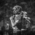 Jordan Coleman (@imjordancoleman) Twitter profile photo Jordan Coleman (@imjordancoleman) Twitter profile photo