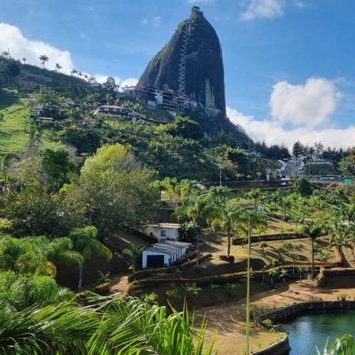 laumvy's profile picture. Arquitecta - Interiorista