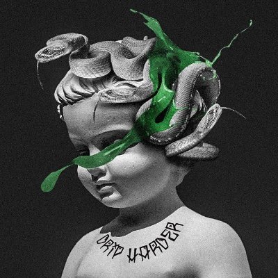 shvfbgjb's profile picture. Digital wizardry in progress 🔧