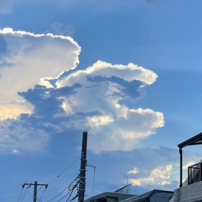 Raku15780041's profile picture. 