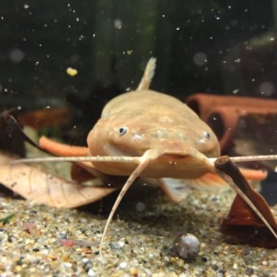 アクアライフ　まとめ売り アクアライフ 12月号 (発売日2022年11月11日) | 雑誌/電子書籍/定期